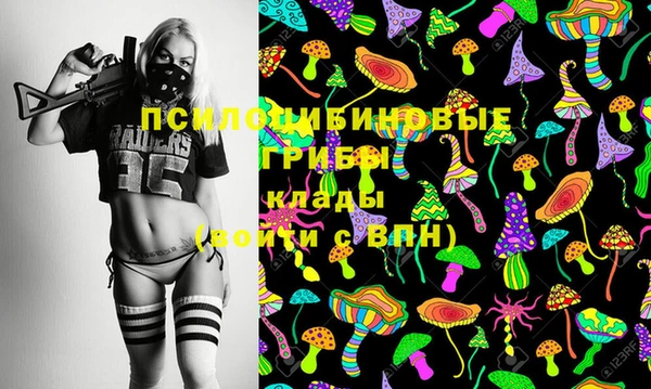 2c-b Заволжье