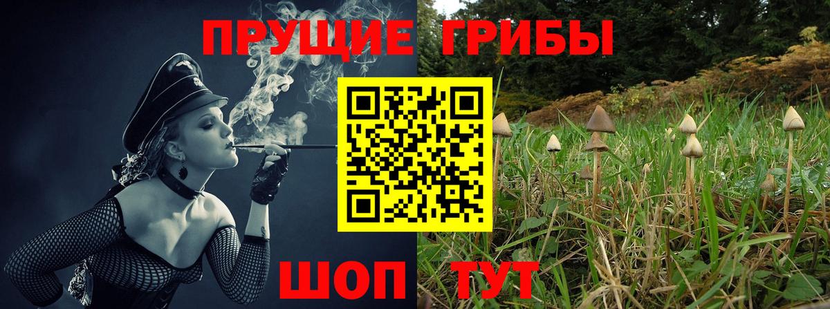 Галлюциногенные грибы GOLDEN TEACHER  Вход с VPN  Добрянка 